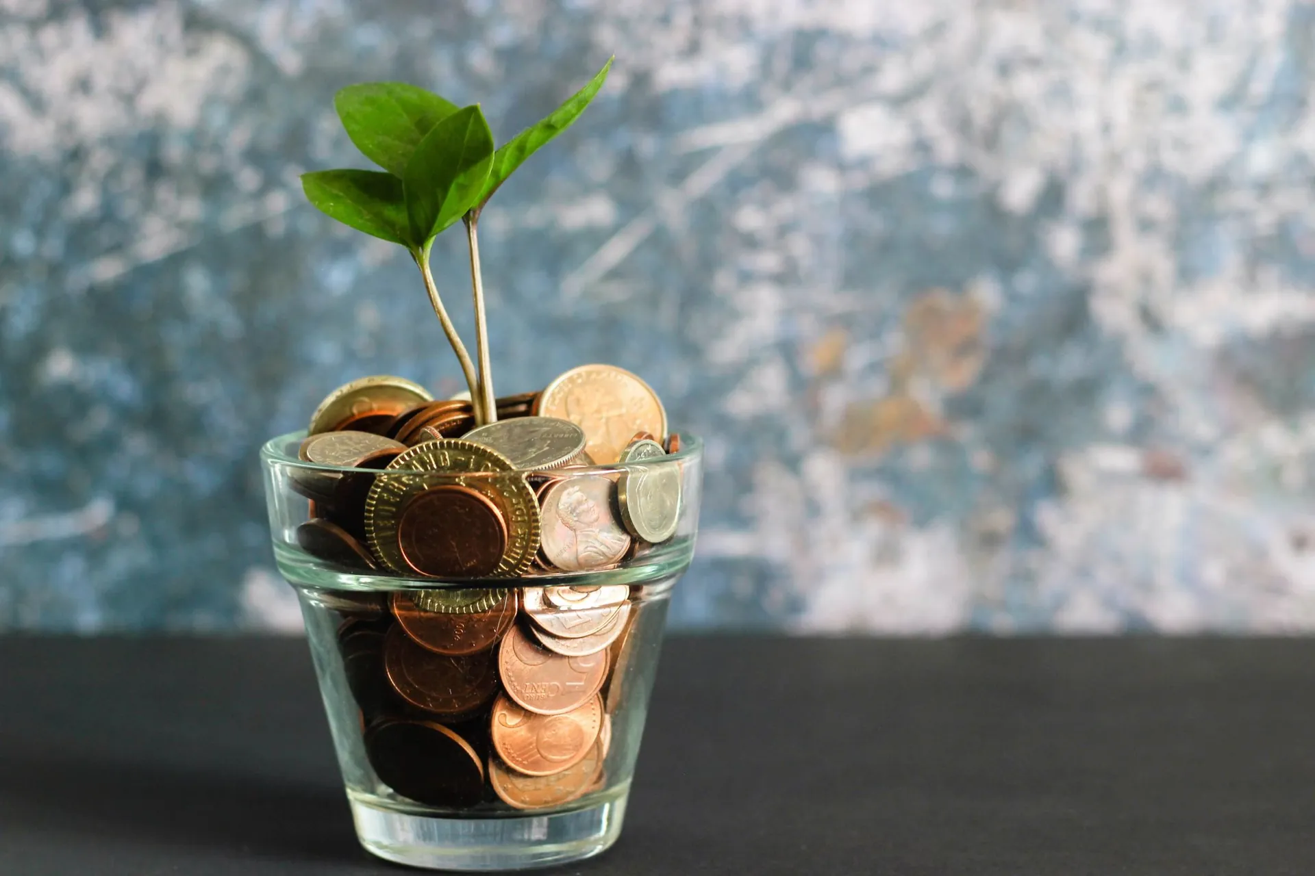 年収幅をイメージできるお金と植物の写真