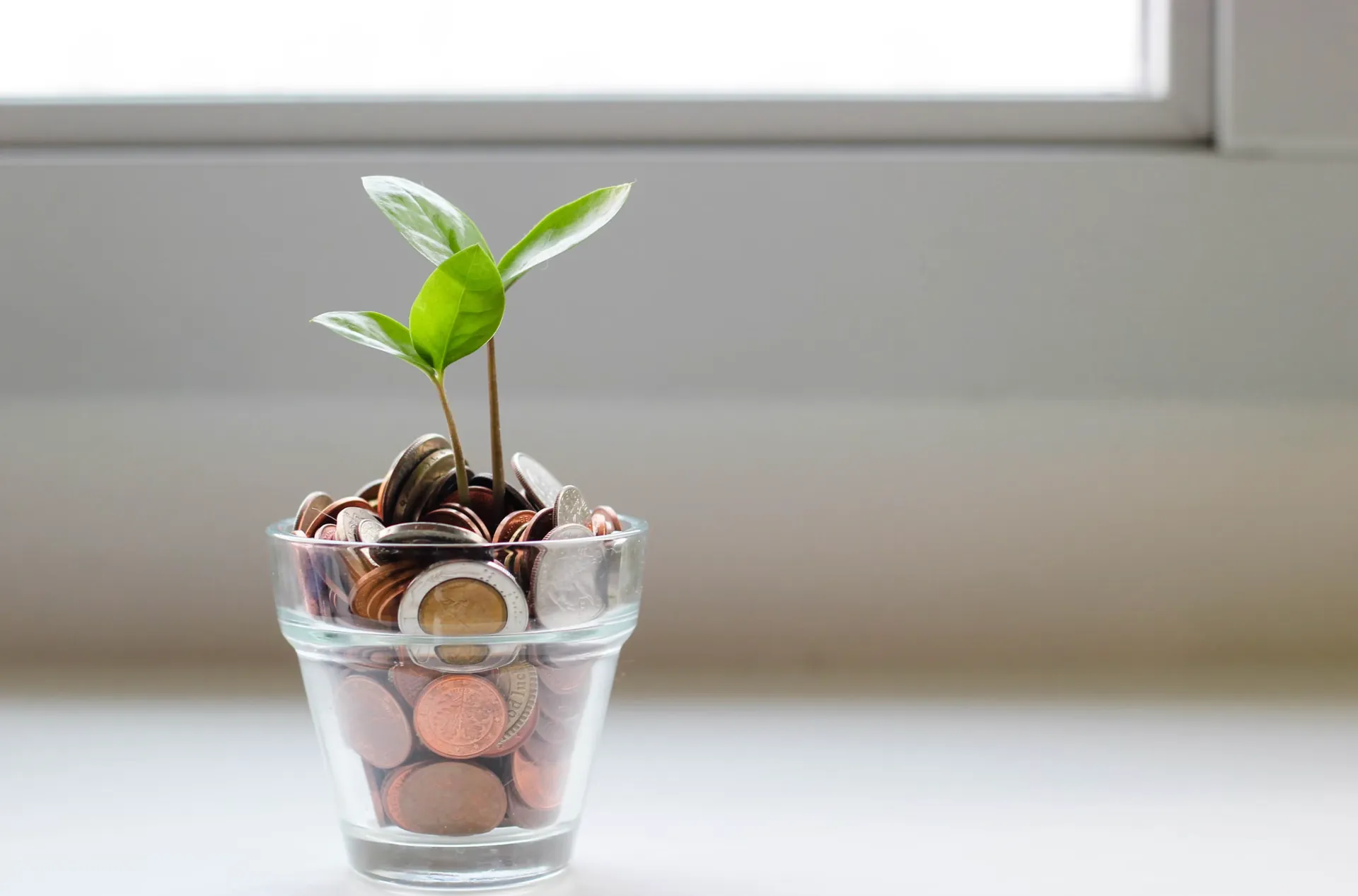 美容師の給与体系を説明するためのお金と植物の苗の写真